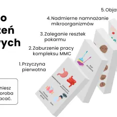 Domino zaburzeń jelitowych: od przyczyny pierwotnej, przez brak sprzątania, zaleganie resztek, nadmierne namnażanie mikroorganizmów, po objawy jak wzdęcia i zaparcia. Leczenie SIBO wymaga usunięcia przyczyny.