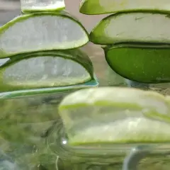 Plasterki aloesu, symbol naturalnej biostyminy, odbijają się w wodzie. Ich soczysta zieleń i biały miąższ zapowiadają odżywczą moc.