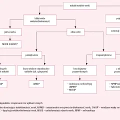 Schemat diagnostyczny torbieli/torbieli nerek. Opisuje różne rodzaje torbieli nerek, ich lokalizację i objawy.
