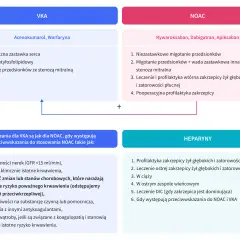 Schemat porównuje leki przeciwzakrzepowe: VKA (acenokumarol, warfaryna), NOAC (rywaroksaban, dabigatran, apiksaban) i heparyny.