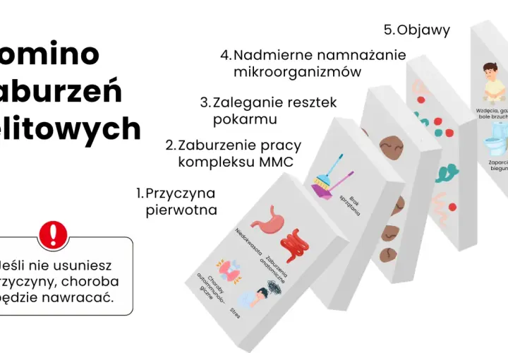 Domino zaburzeń jelitowych: od przyczyny pierwotnej, przez brak sprzątania, zaleganie resztek, nadmierne namnażanie mikroorganizmów, po objawy jak wzdęcia i zaparcia. Leczenie SIBO wymaga usunięcia przyczyny.