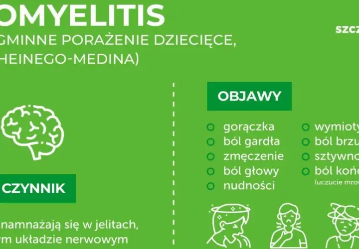 Objawy polio: gorączka, ból gardła, zmęczenie, nudności, wymioty, ból brzucha, sztywność karku, ból kończyn. Wirus polio atakuje układ nerwowy.