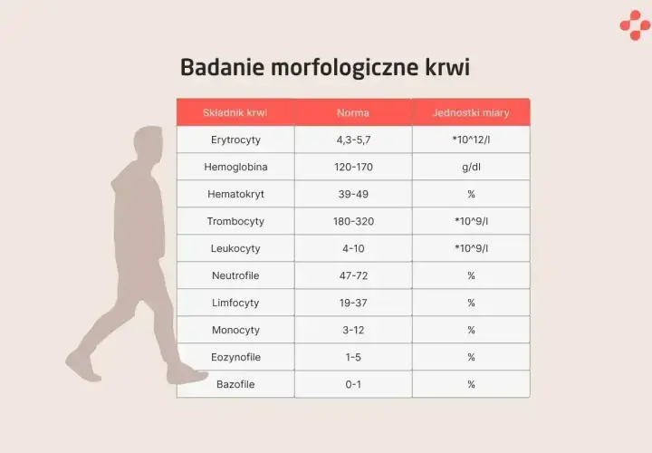 Tabela z badaniem morfologicznym krwi. Pokazuje normy dla trombocytów, erytrocytów i innych składników.