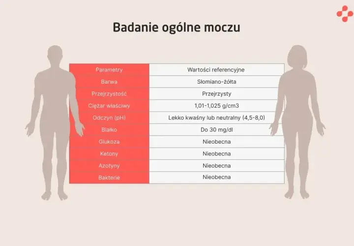 Tabela z parametrami badania ogólnego moczu: barwa, przejrzystość, ciężar właściwy, odczyn, białko, glukoza, ketony, azotyny, bakterie. Wyniki są w normie.