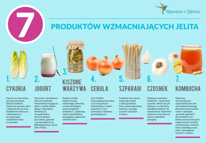 Cykoria, jogurt, kiszone warzywa, cebula, szparagi, czosnek i kombucha to naturalne probiotyki na jelita, wspierające zdrowie.