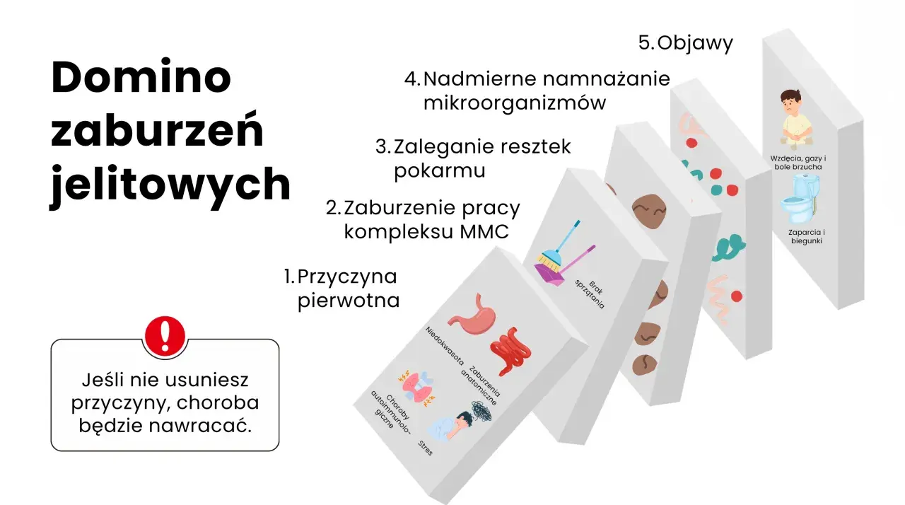 Domino zaburzeń jelitowych: od przyczyny pierwotnej, przez brak sprzątania, zaleganie resztek, nadmierne namnażanie mikroorganizmów, po objawy jak wzdęcia i zaparcia. Leczenie SIBO wymaga usunięcia przyczyny.
