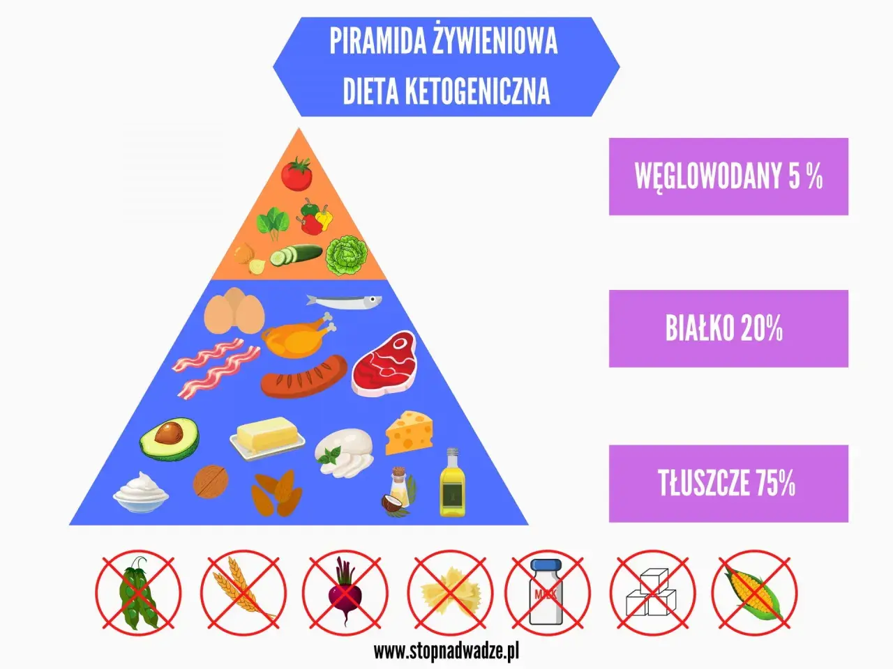 Piramida żywieniowa dieta keto: 75% tłuszcze, 20% białko, 5% węglowodany. Pokazuje dozwolone i zakazane produkty.