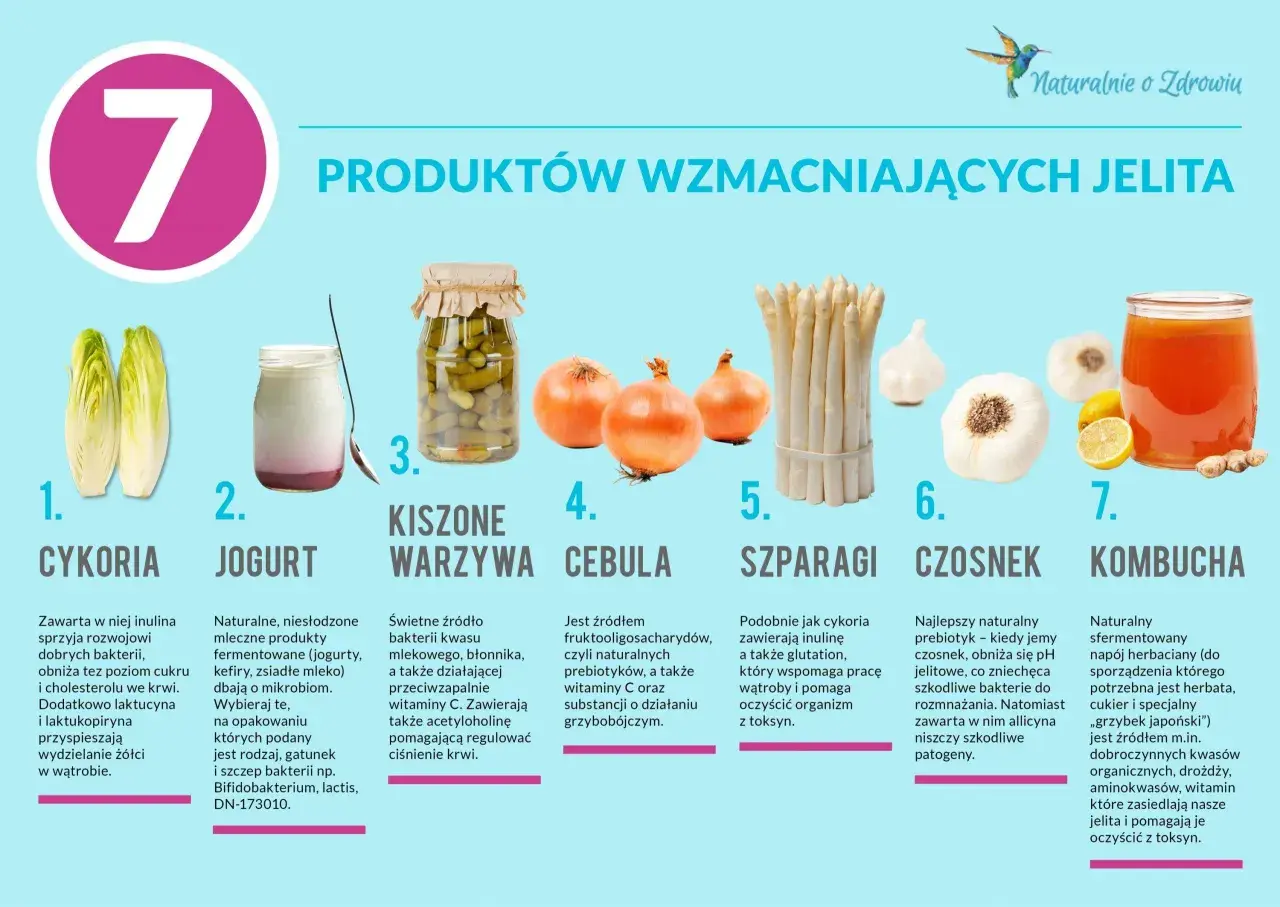 Cykoria, jogurt, kiszone warzywa, cebula, szparagi, czosnek i kombucha to naturalne probiotyki na jelita, wspierające zdrowie.