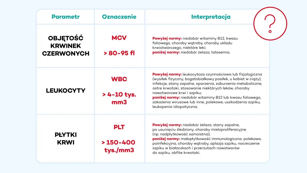 Tabela interpretacji wyników morfologii krwi: WBC (leukocyty) powyżej/poniżej normy, co to jest.