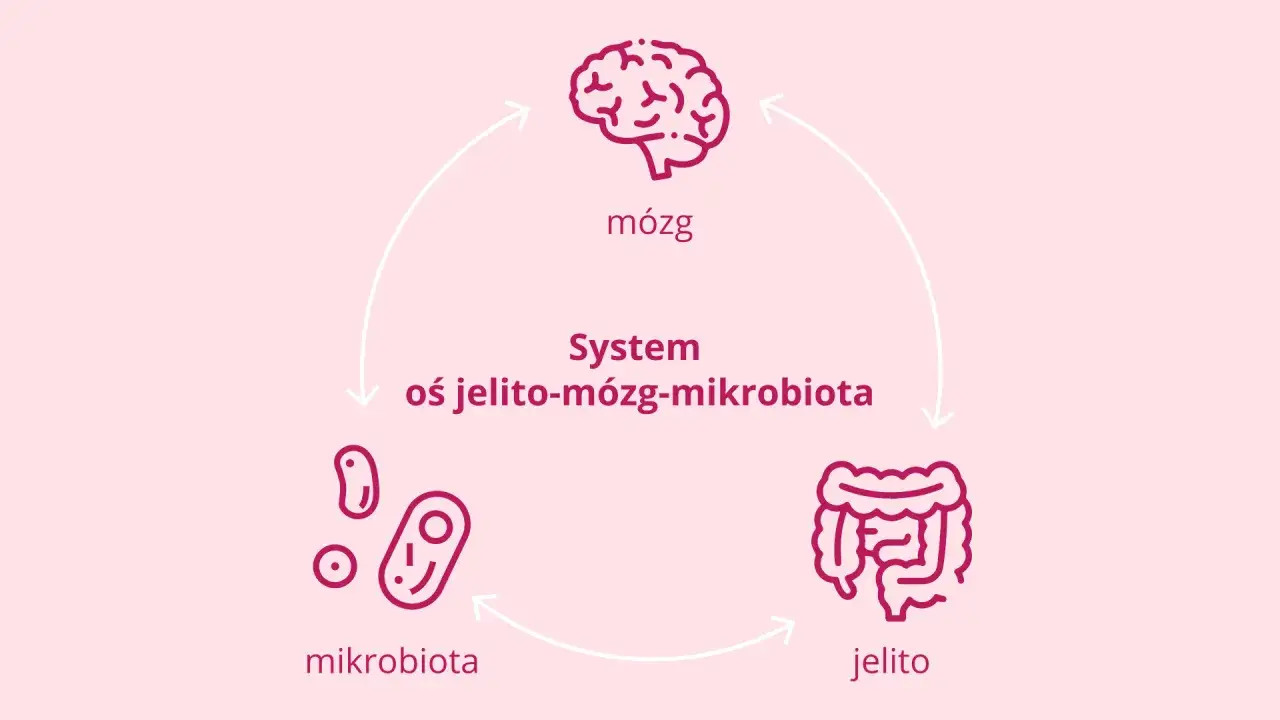 Oś jelito-mózg-mikrobiota. Helicobacter pylori może wpływać na objawy psychiczne poprzez zaburzenia mikrobioty jelitowej.