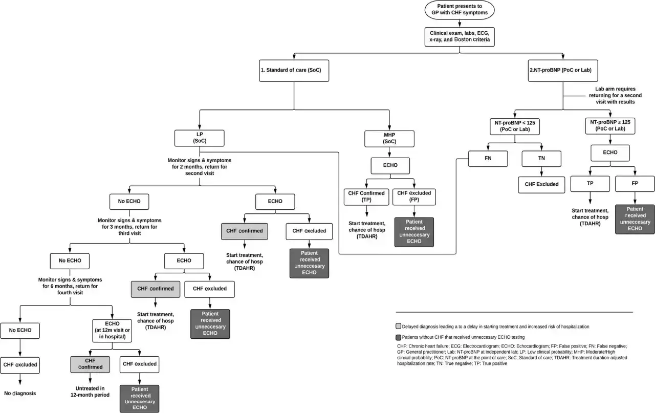 Schemat diagnostyki niewydolności serca (CHF). Poziom NT-proBNP < 125 wskazuje na brak potrzeby dalszych badań.