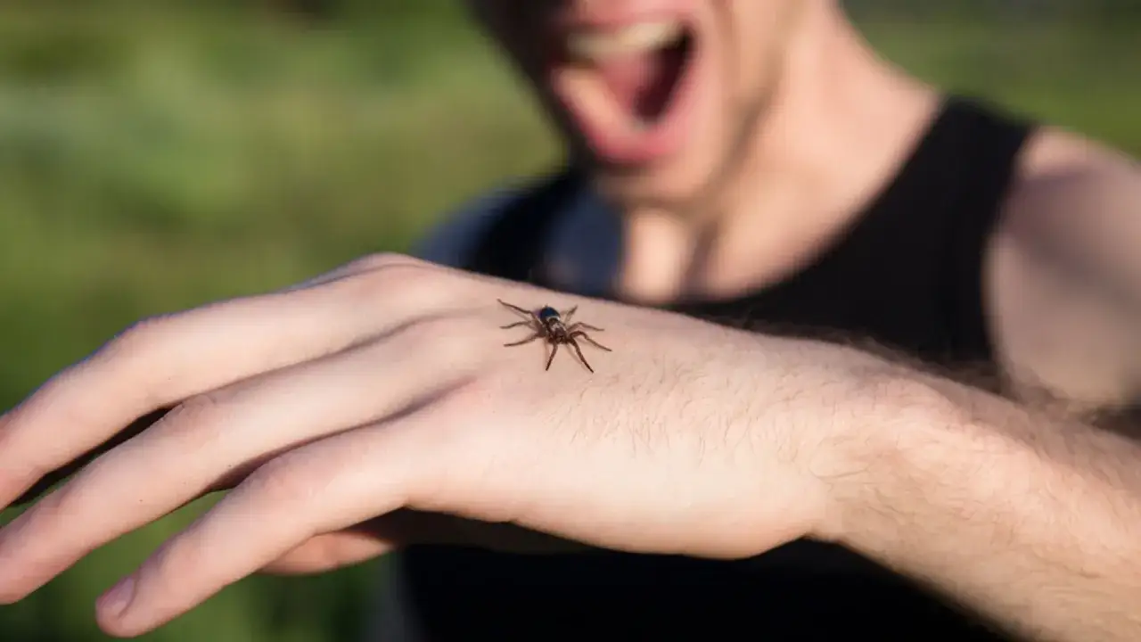 Pajęczak na dłoni wywołuje u mężczyzny panikę, klasyczny objaw arachnofobii.